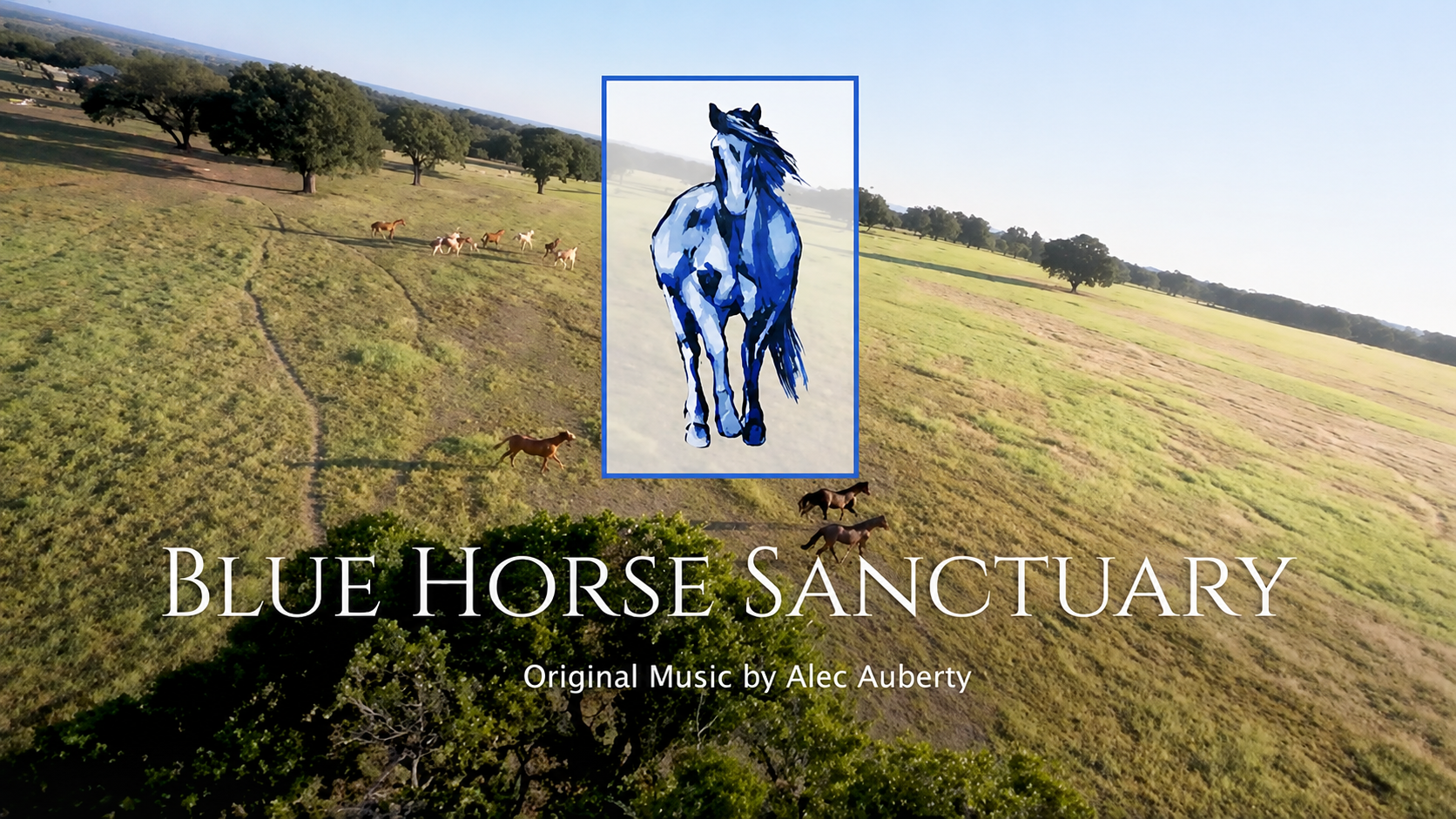 Blue Horse Sanctuary thumbnail